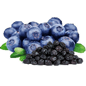 Dried Blueberries