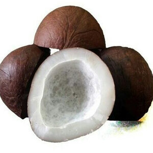 Dry Khopra Coconut