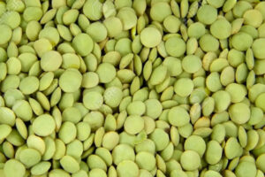 Green Lentil