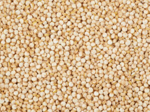 Quinoa Seeds