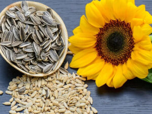 Sunflower Seeds