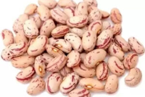 White Rajma