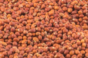 red Pigeon Pea